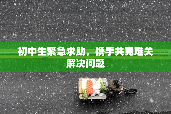 初中生紧急求助，携手共克难关解决问题