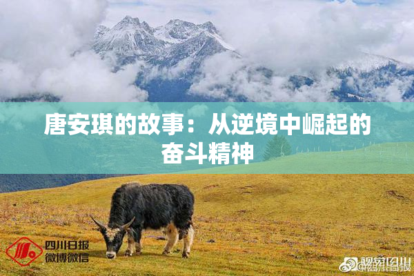 唐安琪的故事：从逆境中崛起的奋斗精神