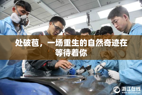 处破苞，一场重生的自然奇迹在等待着你