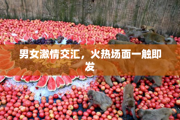 男女激情交汇，火热场面一触即发