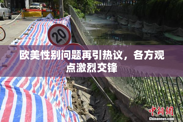 欧美性别问题再引热议，各方观点激烈交锋