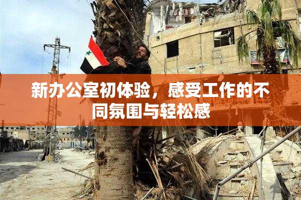 新办公室初体验，感受工作的不同氛围与轻松感