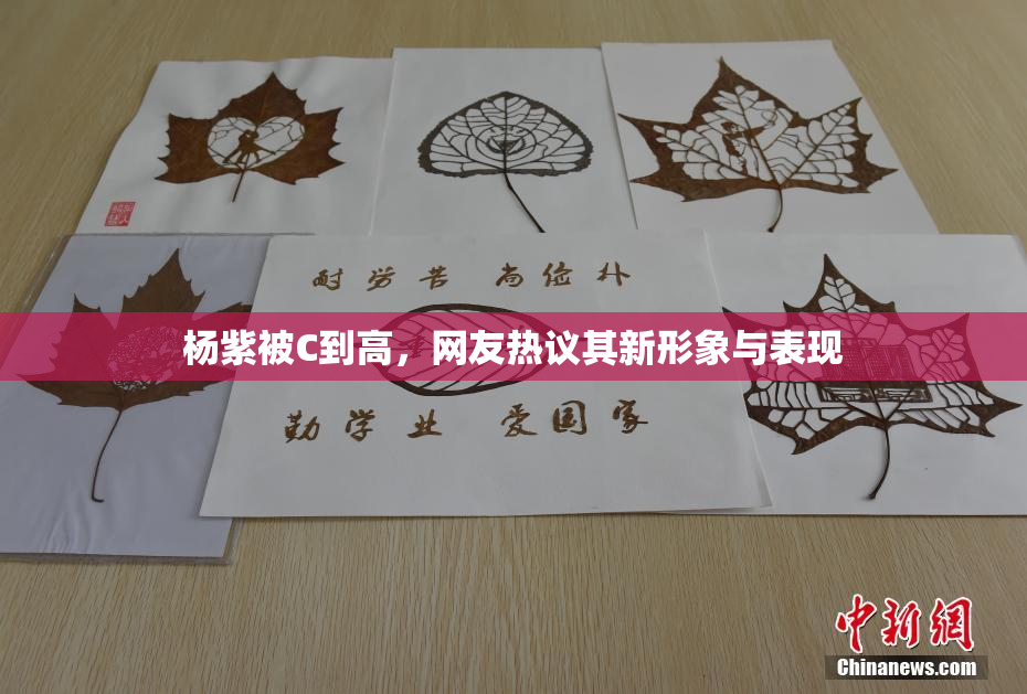杨紫被C到高，网友热议其新形象与表现