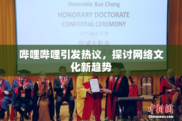 哔哩哔哩引发热议，探讨网络文化新趋势
