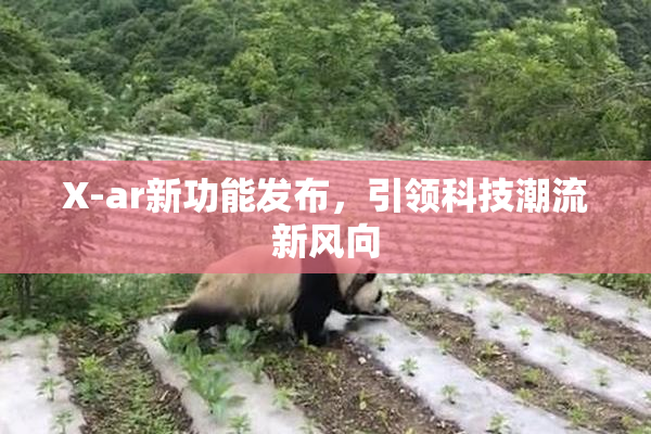X-ar新功能发布，引领科技潮流新风向