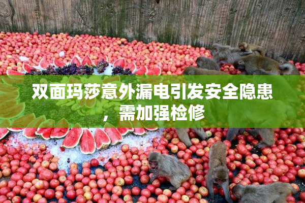 双面玛莎意外漏电引发安全隐患，需加强检修