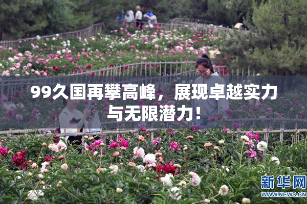 99久国再攀高峰，展现卓越实力与无限潜力！