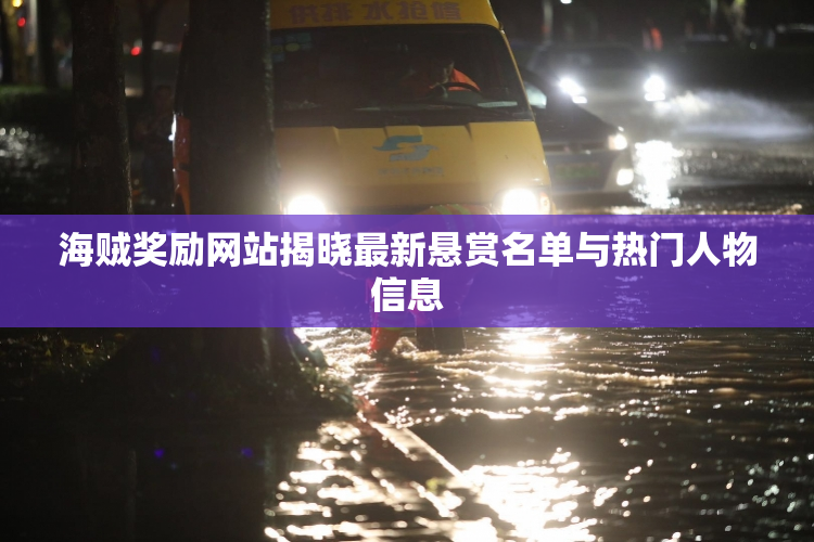海贼奖励网站揭晓最新悬赏名单与热门人物信息