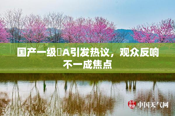 国产一级婬A引发热议，观众反响不一成焦点
