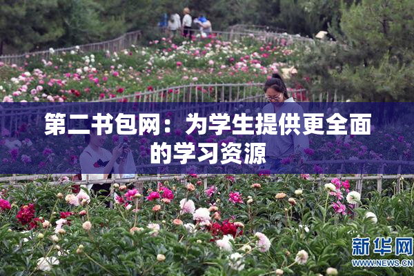 第二书包网：为学生提供更全面的学习资源