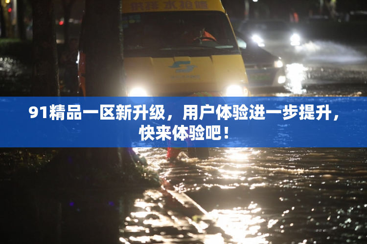 91精品一区新升级，用户体验进一步提升，快来体验吧！