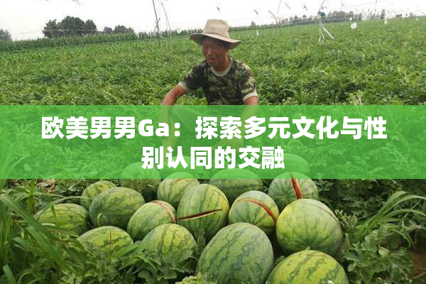 欧美男男Ga：探索多元文化与性别认同的交融