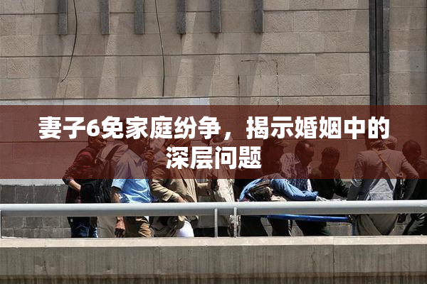 妻子6免家庭纷争，揭示婚姻中的深层问题