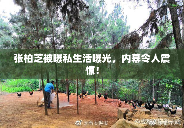 张柏芝被曝私生活曝光，内幕令人震惊！