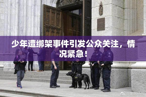 少年遭绑架事件引发公众关注，情况紧急！