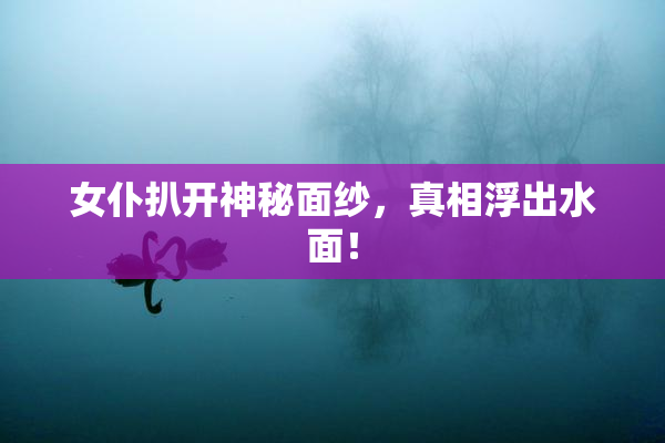 女仆扒开神秘面纱，真相浮出水面！