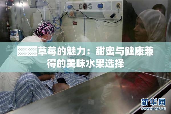▓▓草莓的魅力：甜蜜与健康兼得的美味水果选择