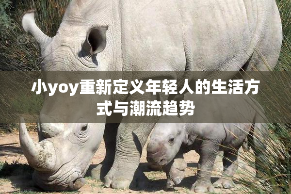 小yoy重新定义年轻人的生活方式与潮流趋势