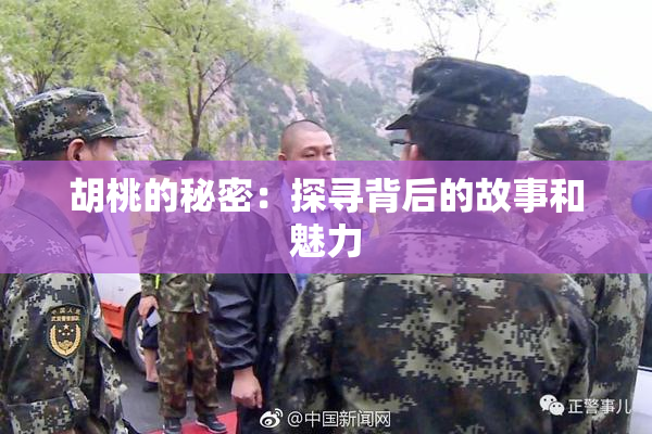 胡桃的秘密：探寻背后的故事和魅力