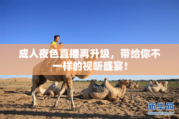 成人夜色直播再升级，带给你不一样的视听盛宴！