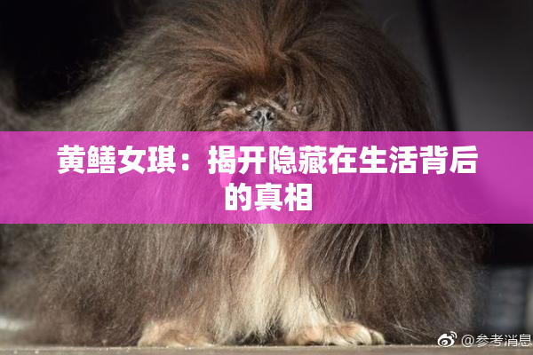 黄鳝女琪：揭开隐藏在生活背后的真相