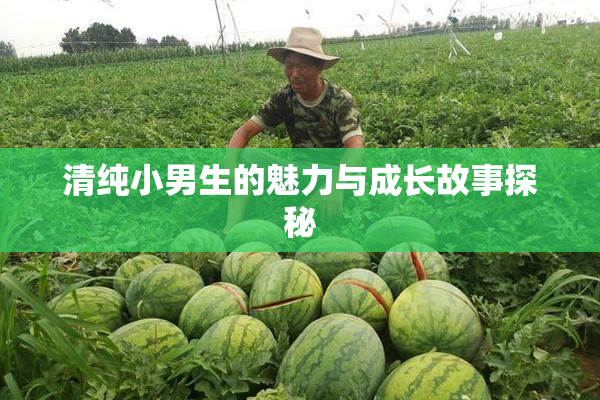 清纯小男生的魅力与成长故事探秘