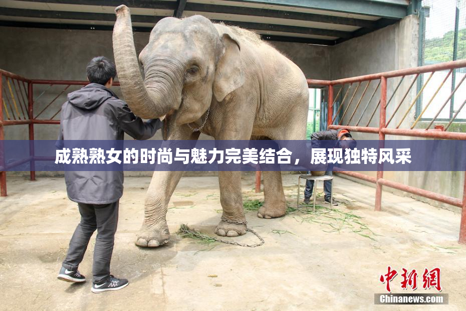 成熟熟女的时尚与魅力完美结合，展现独特风采