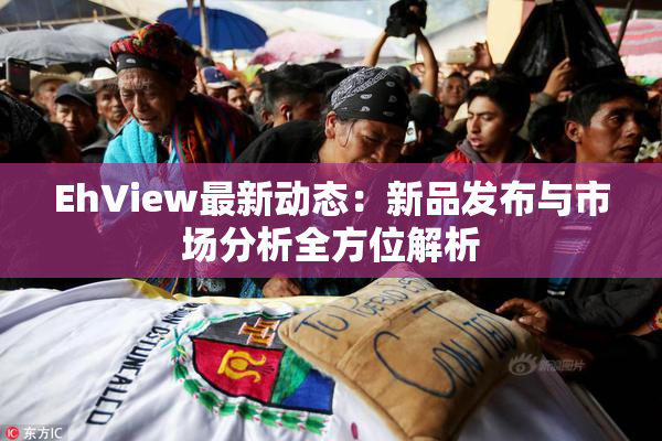 EhView最新动态：新品发布与市场分析全方位解析