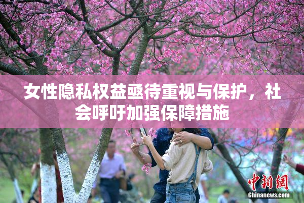 女性隐私权益亟待重视与保护，社会呼吁加强保障措施