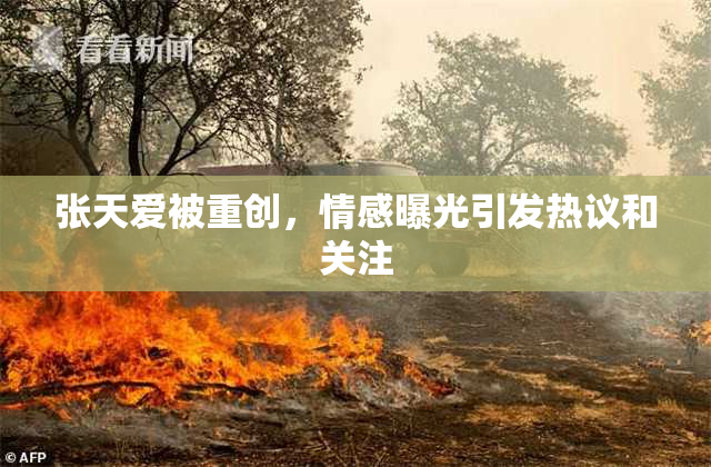 张天爱被重创，情感曝光引发热议和关注