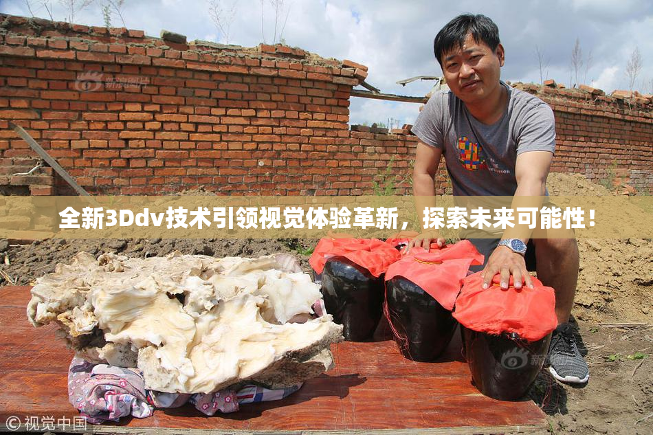 全新3Ddv技术引领视觉体验革新，探索未来可能性！