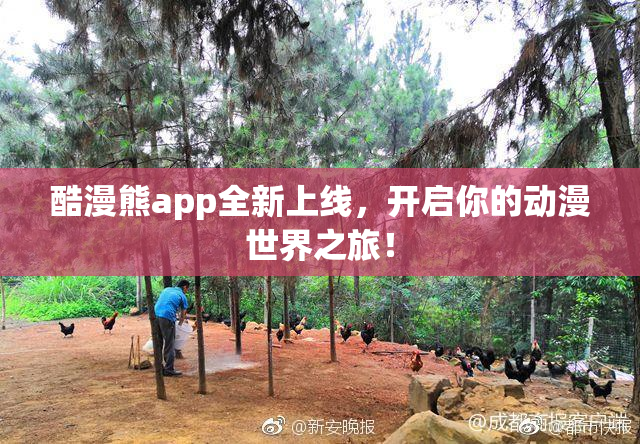 酷漫熊app全新上线，开启你的动漫世界之旅！