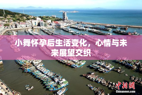 小舞怀孕后生活变化，心情与未来展望交织
