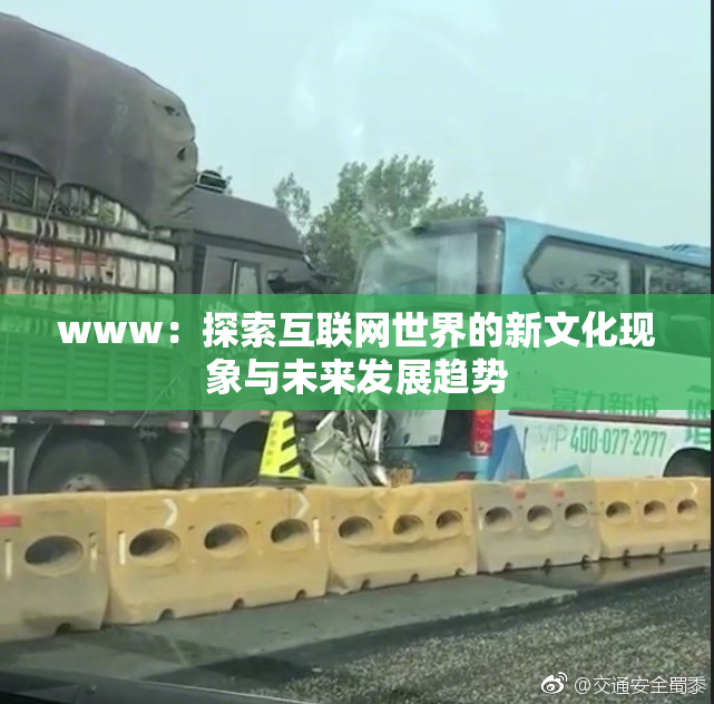 www：探索互联网世界的新文化现象与未来发展趋势