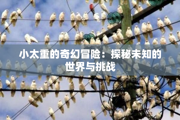 小太重的奇幻冒险：探秘未知的世界与挑战