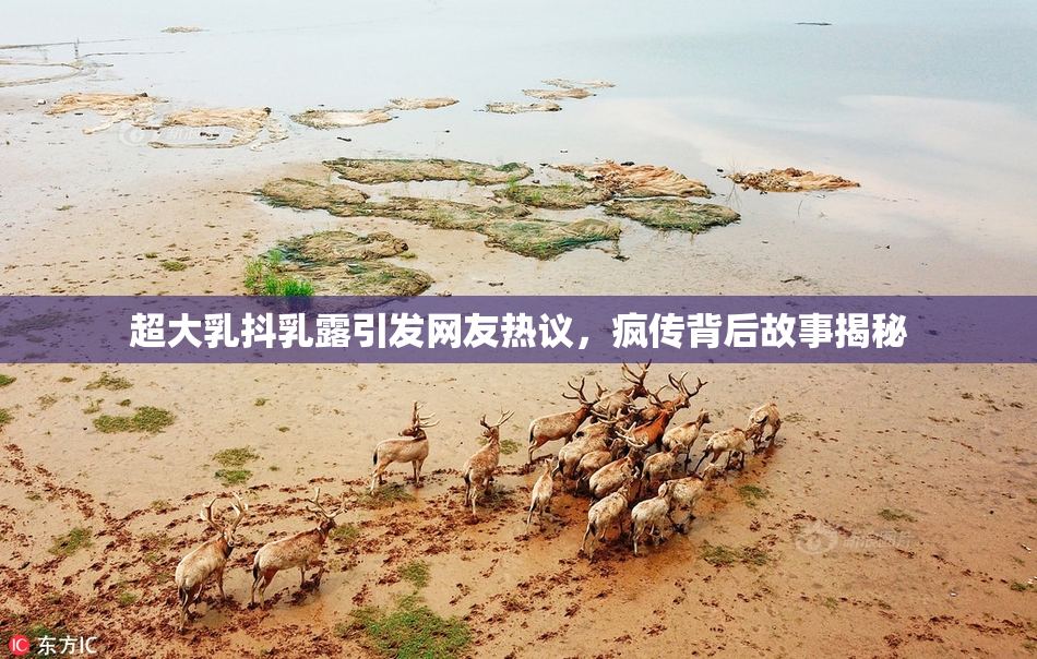 超大乳抖乳露引发网友热议，疯传背后故事揭秘