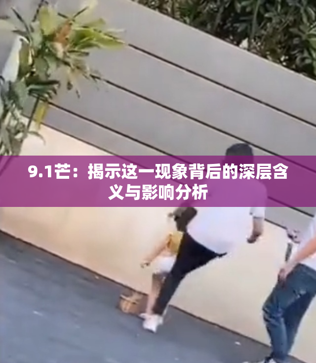 9.1芒：揭示这一现象背后的深层含义与影响分析