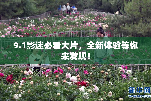 9.1影迷必看大片，全新体验等你来发现！
