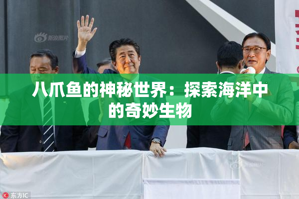 八爪鱼的神秘世界：探索海洋中的奇妙生物