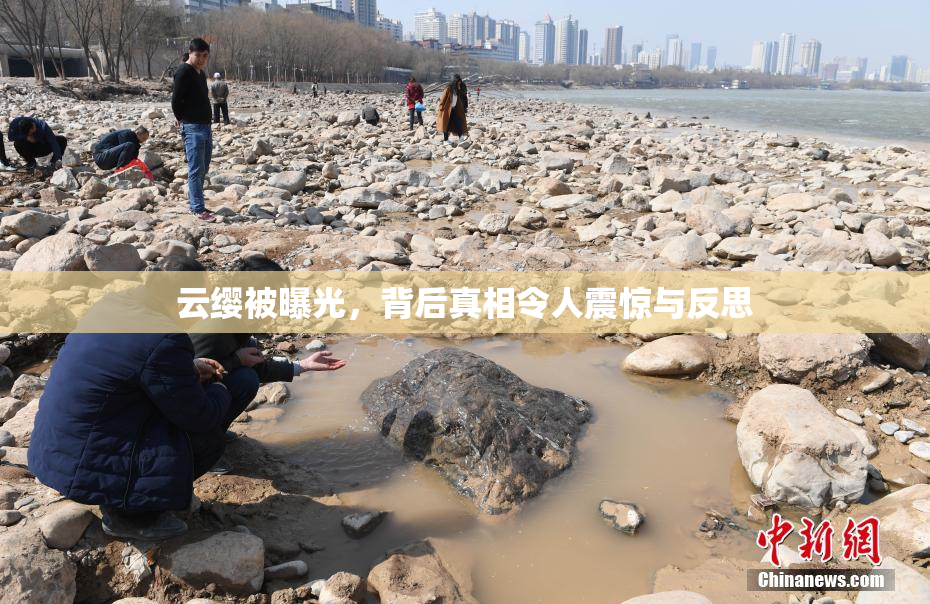 云缨被曝光，背后真相令人震惊与反思