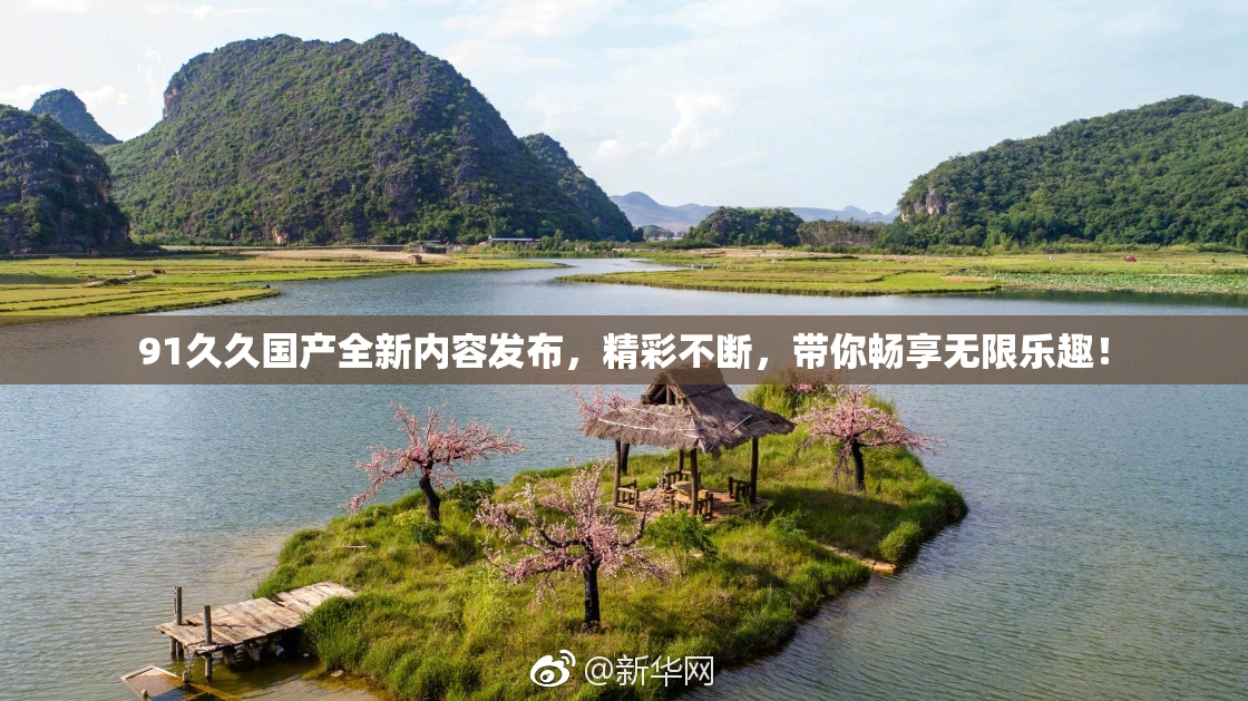 91久久国产全新内容发布，精彩不断，带你畅享无限乐趣！