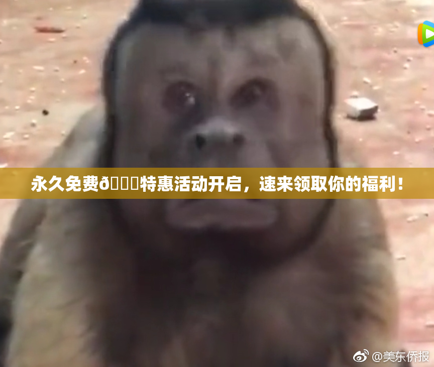 永久免费🔞特惠活动开启，速来领取你的福利！