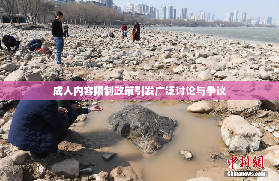 成人内容限制政策引发广泛讨论与争议