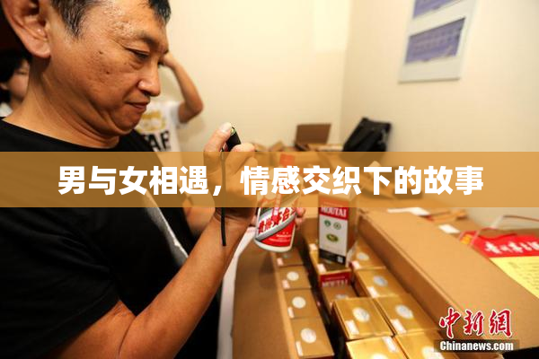 男与女相遇，情感交织下的故事