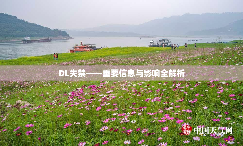 DL失禁——重要信息与影响全解析