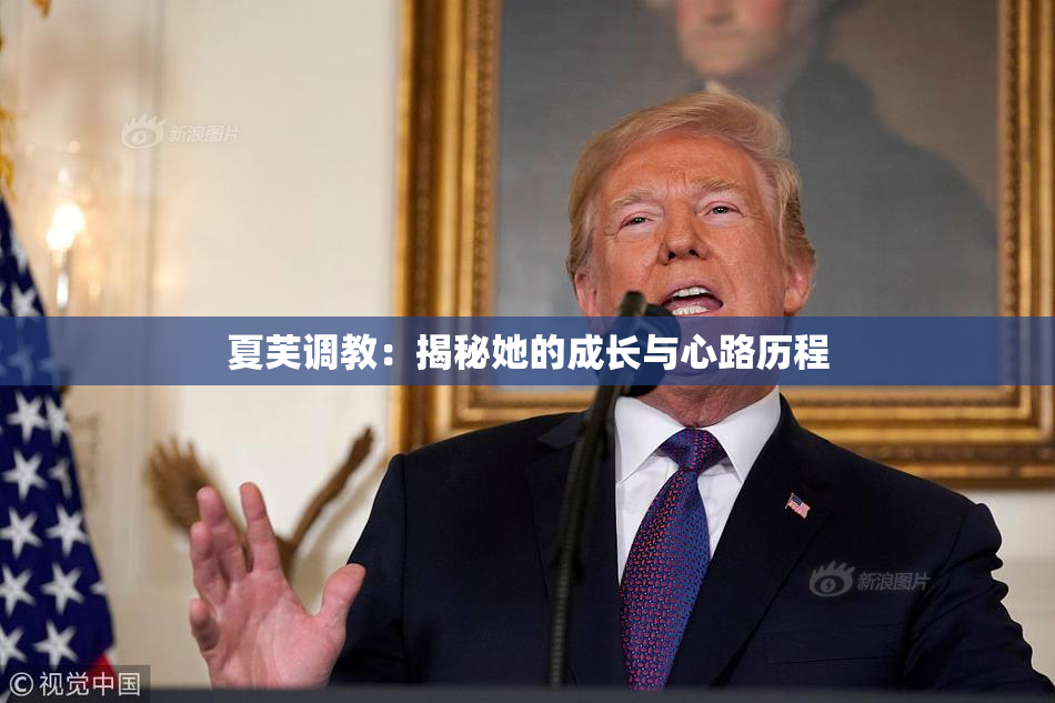 夏芙调教：揭秘她的成长与心路历程