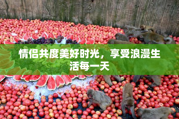 情侣共度美好时光，享受浪漫生活每一天