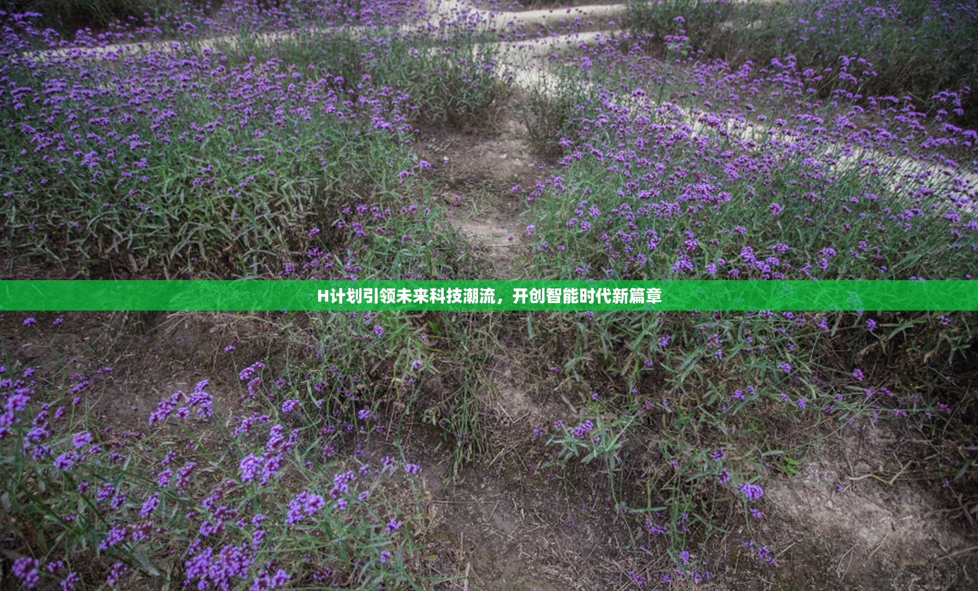 H计划引领未来科技潮流，开创智能时代新篇章