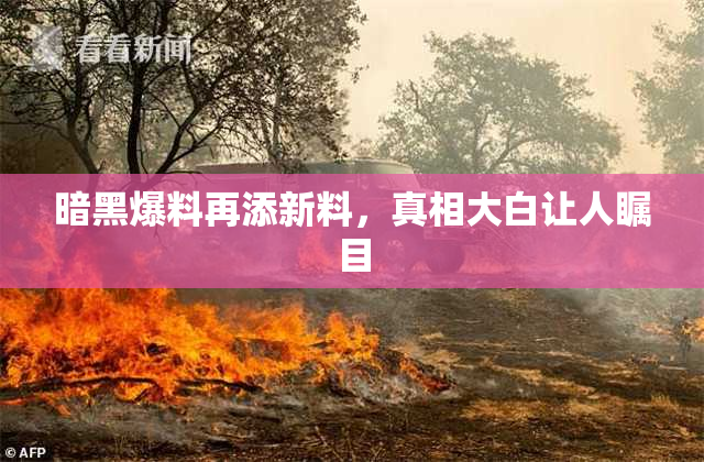 暗黑爆料再添新料，真相大白让人瞩目