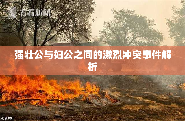 强壮公与妇公之间的激烈冲突事件解析